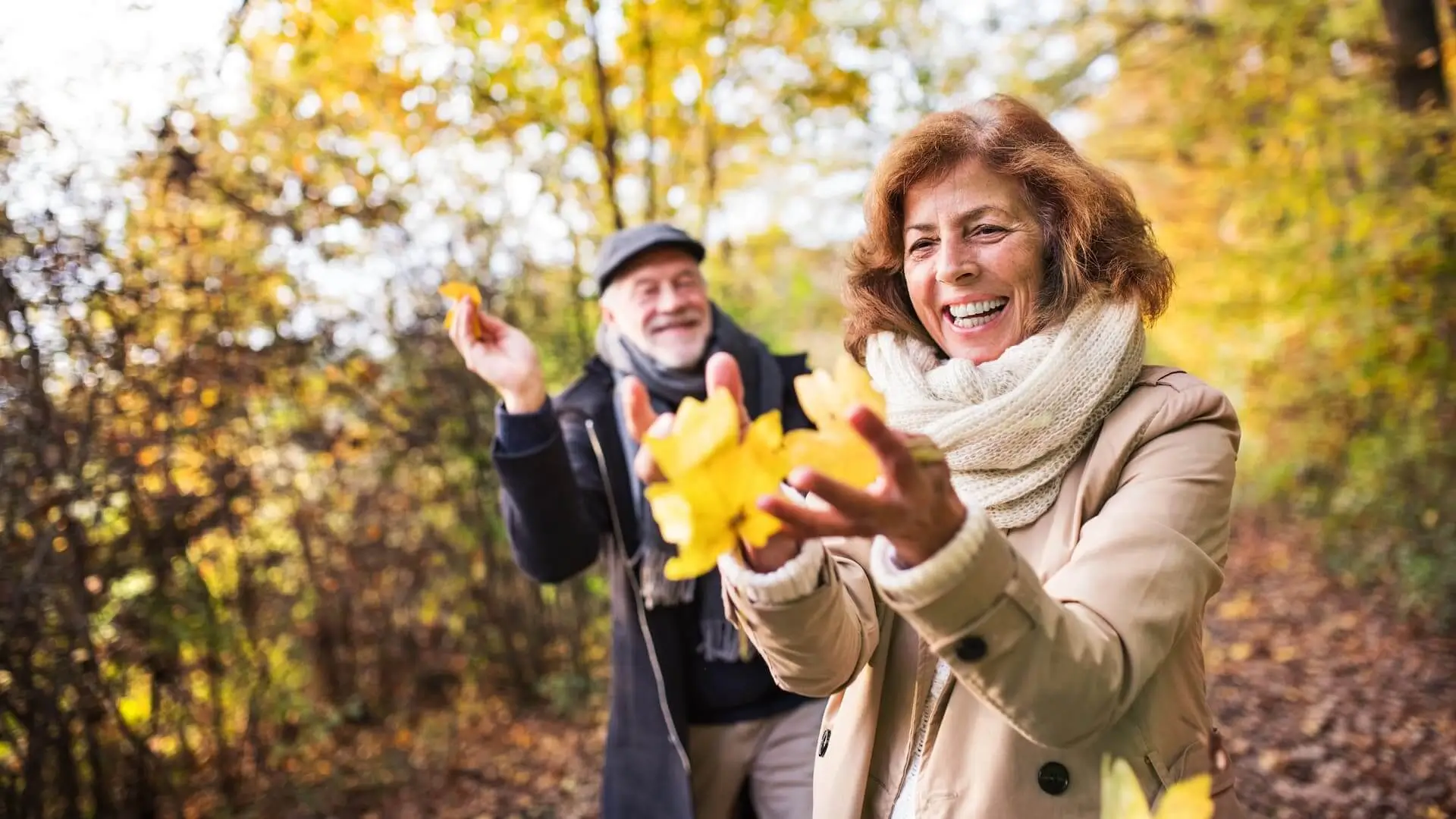 Senior couple on a walk in a forest in an autumn nature, holding leaves.