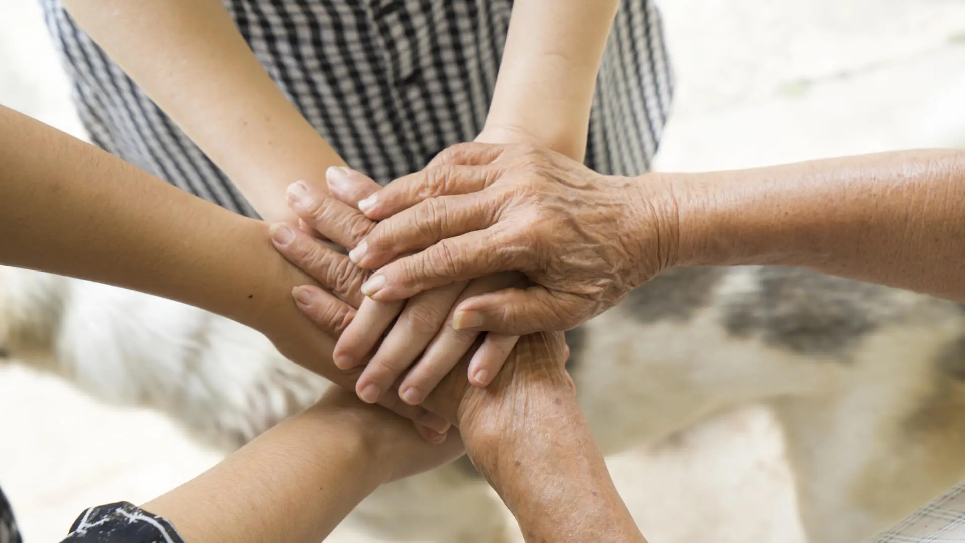 Concept of teamwork, aging society Close-Up business team or family hand showing unity with putting hands together, senior wrinkled hard working hand of old woman place on top of other young people.