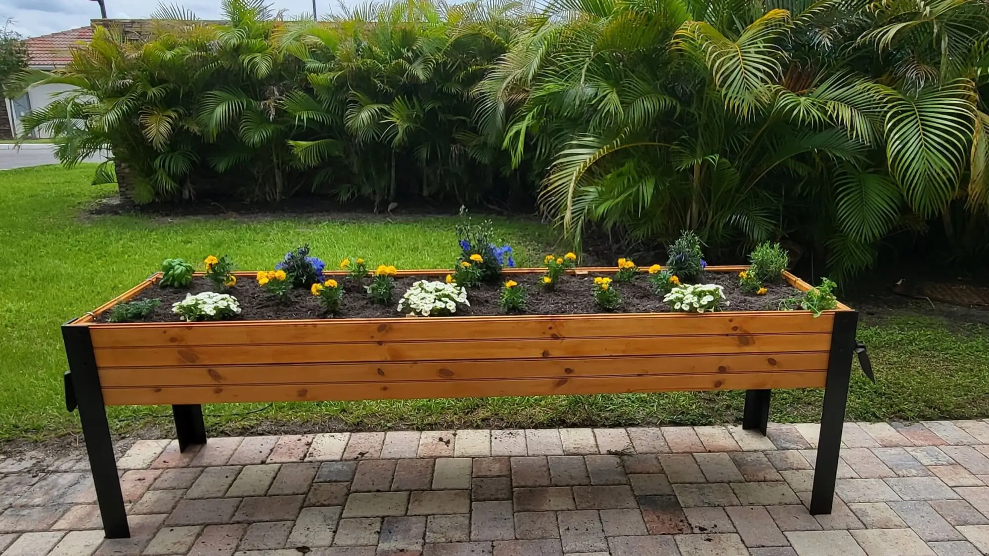 spring flowerbed at Seaside Springs Retirement Community