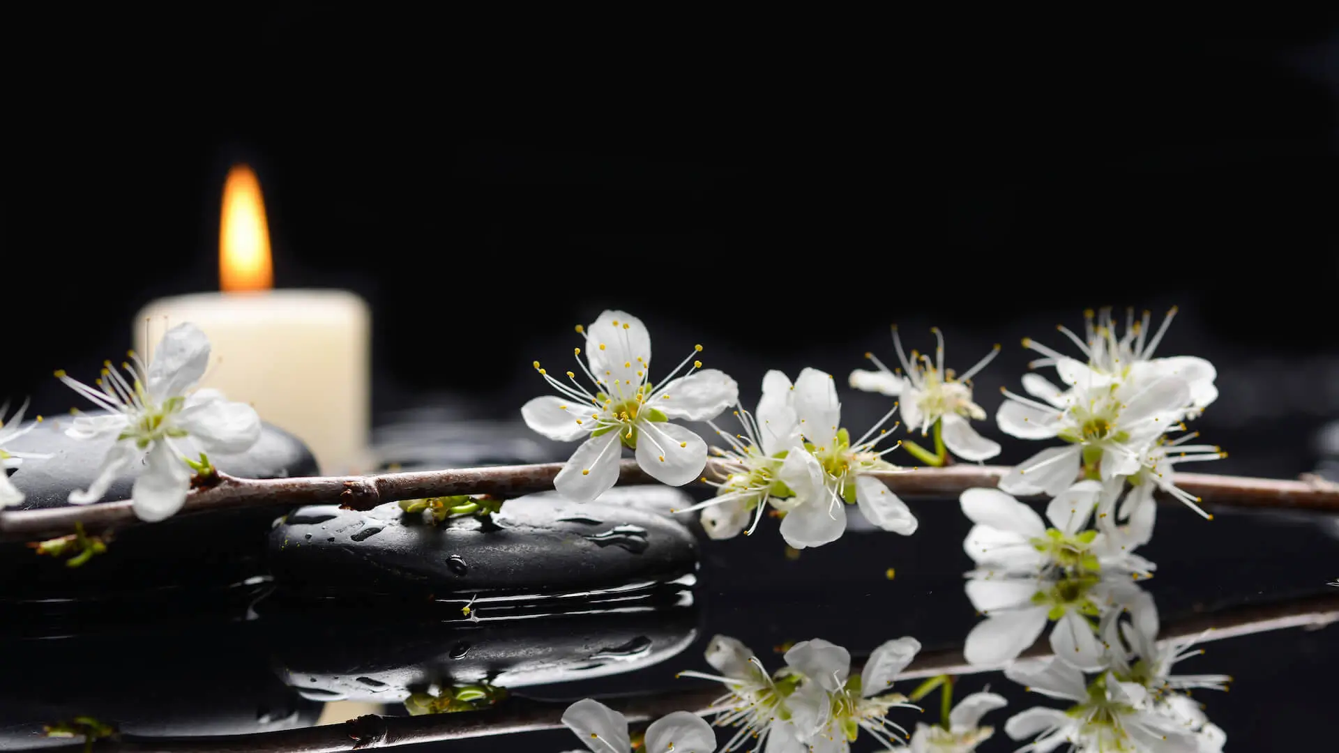 Still life with Cherry blossom, with candle on therapy stones
