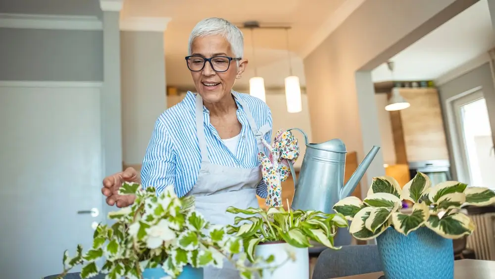 Senior Woman With Green Plants and Flowers at home. Woman Caring for House Plant. Woman Taking Care of Plants at Her Home Portrait of Elderly Woman Gardening at Home. Retired Female Care for Her Plant