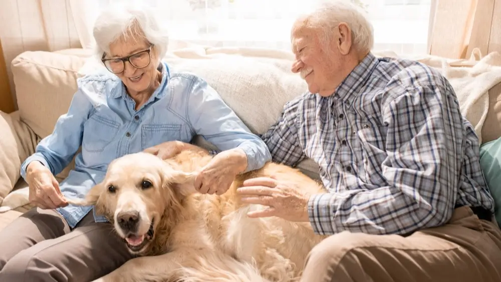 Tips for Senior Citizens to Ensure Their Furry Companion’s Health